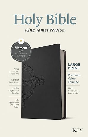 KJV Premium Value Thinline Bible, Large Print, Black