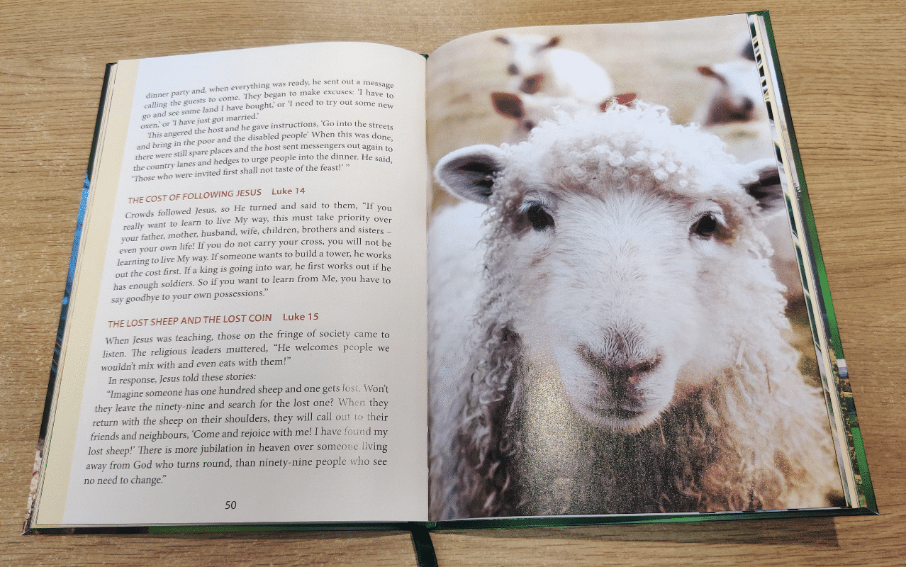 The New Easy Read Bible Gospel Story - Box of 30 - Image 2