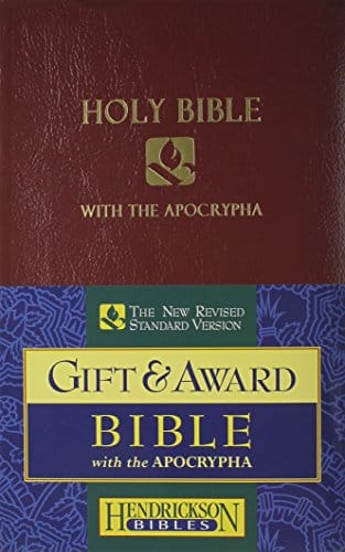 NRSV Gift & Award Bible, Burgundy