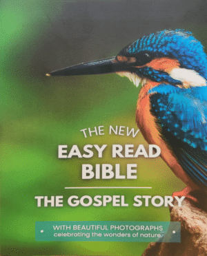 The New Easy Read Bible Gospel Story - Box of 30