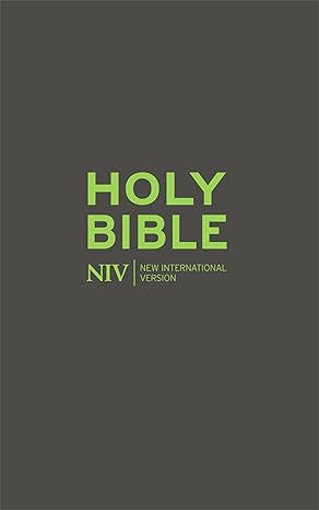 NIV Popular Soft-tone with Zip, Grey/Green