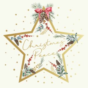Tearfund - Christmas Star (Pack of 10)