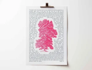 Isaiah 61 poster. Oaks of righteousness.