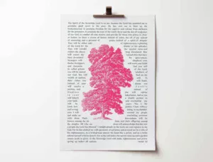 Isaiah 61 poster. Oaks of righteousness.