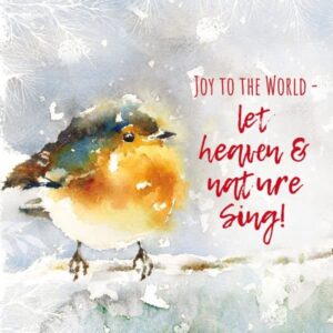 Joyful Robin Christmas cards