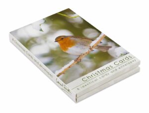 Christmas Card Wallet - Robin (8 Cards)