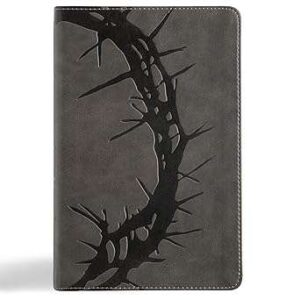 NASB Large Print Personal Size Reference Bible, Grey