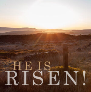 He Is Risen! Pack of 5 Leonard Smith Easter Cards