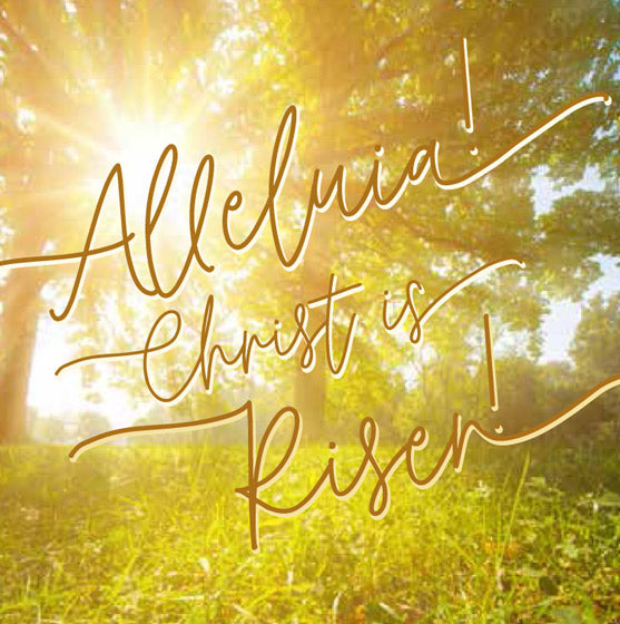 Easter Mini Cards - Sunburst/Alleluia! (Pack of 5)