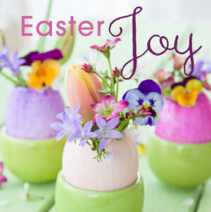 Easter Mini Cards Eggcups, Pack of 4