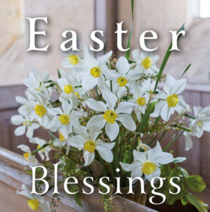 White Daffodils, Pack of 5 Leonard Smith Easter Cards