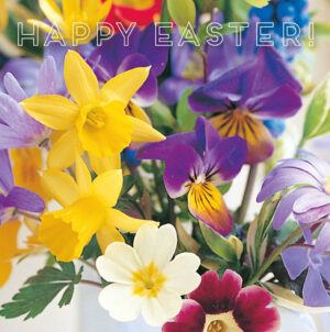 Daffodils & Pansies, Pack of 5 Leonard Smith Easter Cards