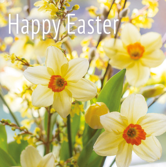 Daffodils and Forsythia, Pack of 5 Leonard Smith Easter Cards | St ...