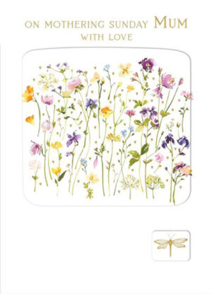 Mothering Sunday Single Card- NIgel Quiney Dragonfly