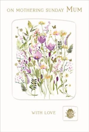 Mothering Sunday Single Card- Nigel Quiney Ladybird