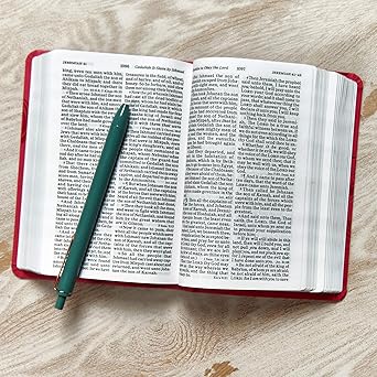KJV Large Print Compact Reference Bible, Pink - Image 3