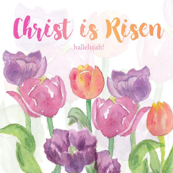 Tulips Christian pack of 5 Easter Cards (Just Cards Direct)