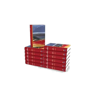 The Bible Narrative (NIRV) pack of 12 - Flexiback
