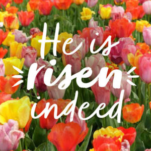 Tulips/He Is Risen Indeed- Compassion UK Easter