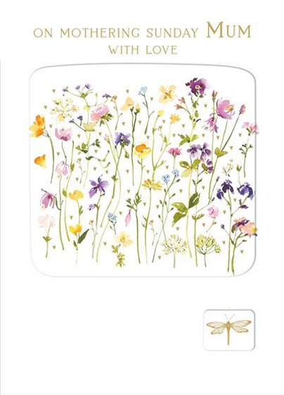 Mothering Sunday Single Card- NIgel Quiney Dragonfly