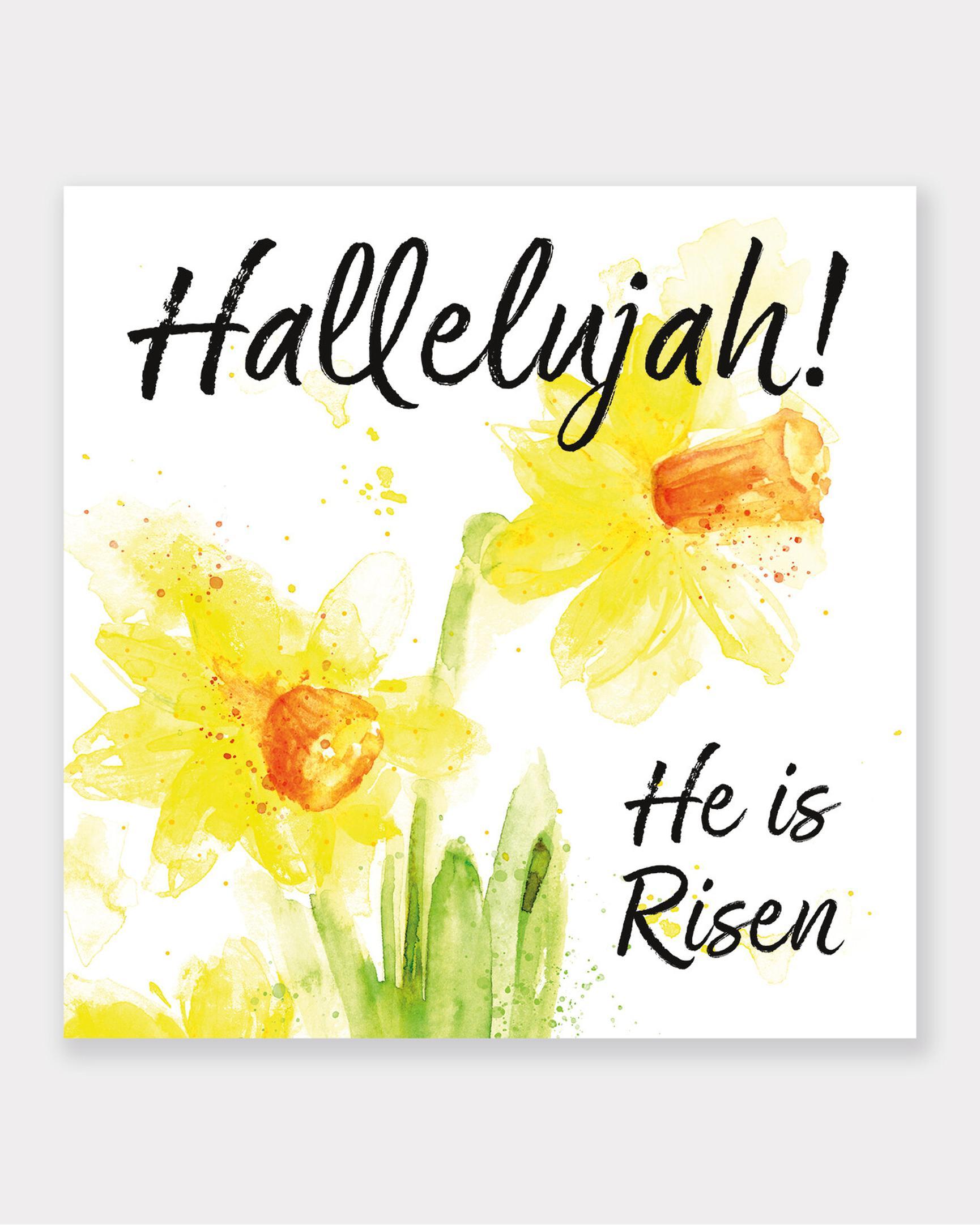 TLM Easter Daffodils | St Andrews Bookshop