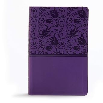 KJV Large Print Personal Size Reference Bible, Purple, Indexed