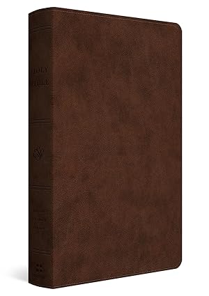 ESV Holy Bible: Dyslexia-Friendly Edition (TruTone Brown)