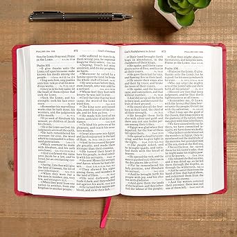 KJV Large Print Personal Size Reference Bible, Pink - Image 2