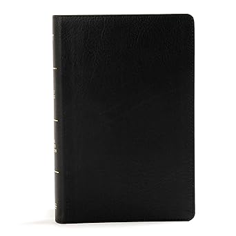 KJV Large Print, Personal Size, Reference Bible, Black