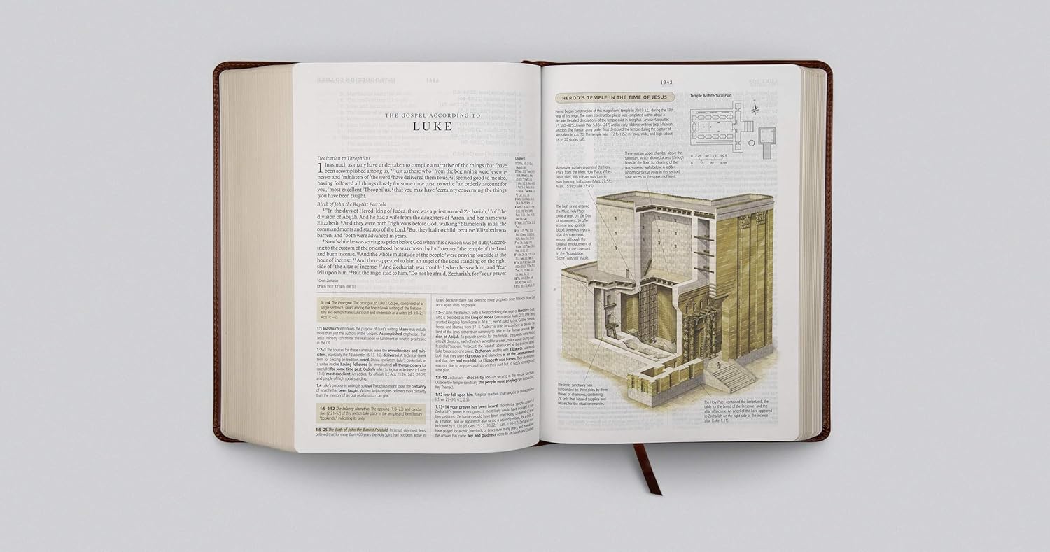 ESV Study Bible, Chestnut - Image 3