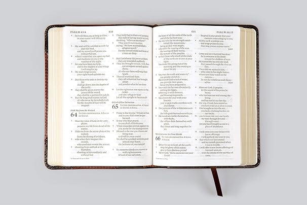 ESV Large Print Compact Bible, Brown - Image 2