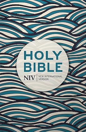 NIV Holy Bible: Waves