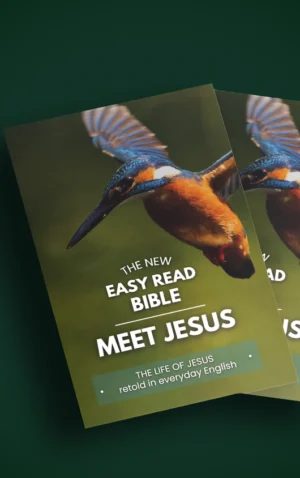 The New Easy Read Bible Meet Jesus
