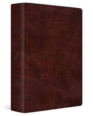ESV Super Giant Print Bible, TruTone Burgundy