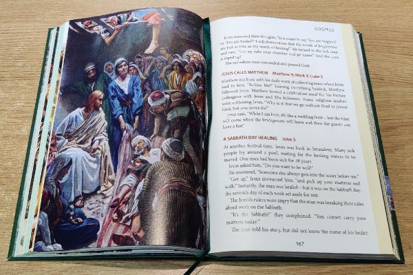 The New Easy Read Bible - Illustrated Edition - Image 2