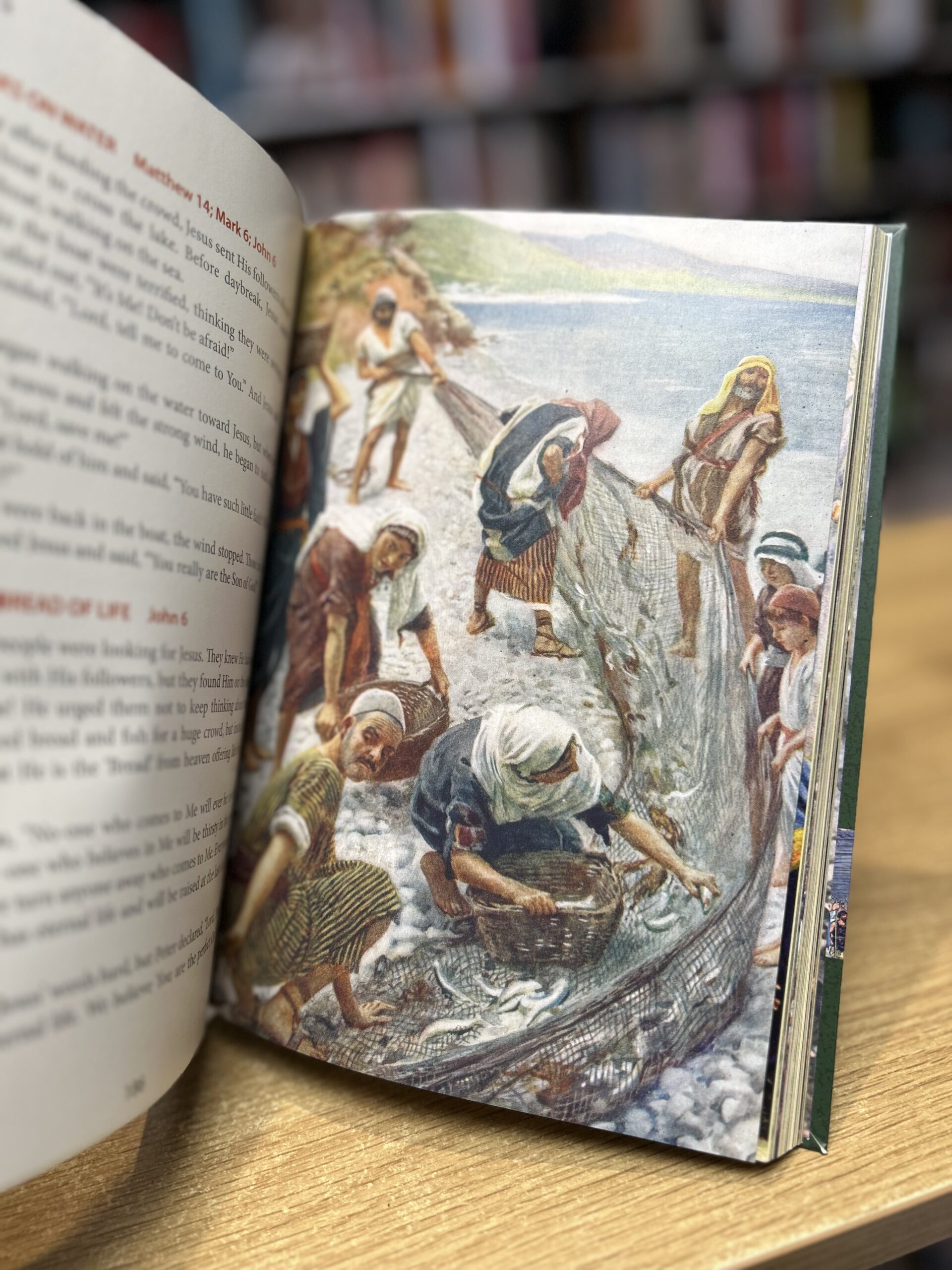 The New Easy Read Bible - Illustrated Edition - Image 3