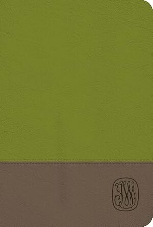 NRSV Wesley Study Bible, Sage Green