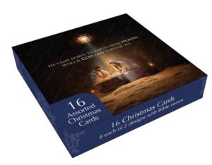 Christmas Box: He Came Down (16)