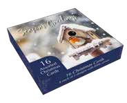 Christmas Box: Robin/Birdbox (16)
