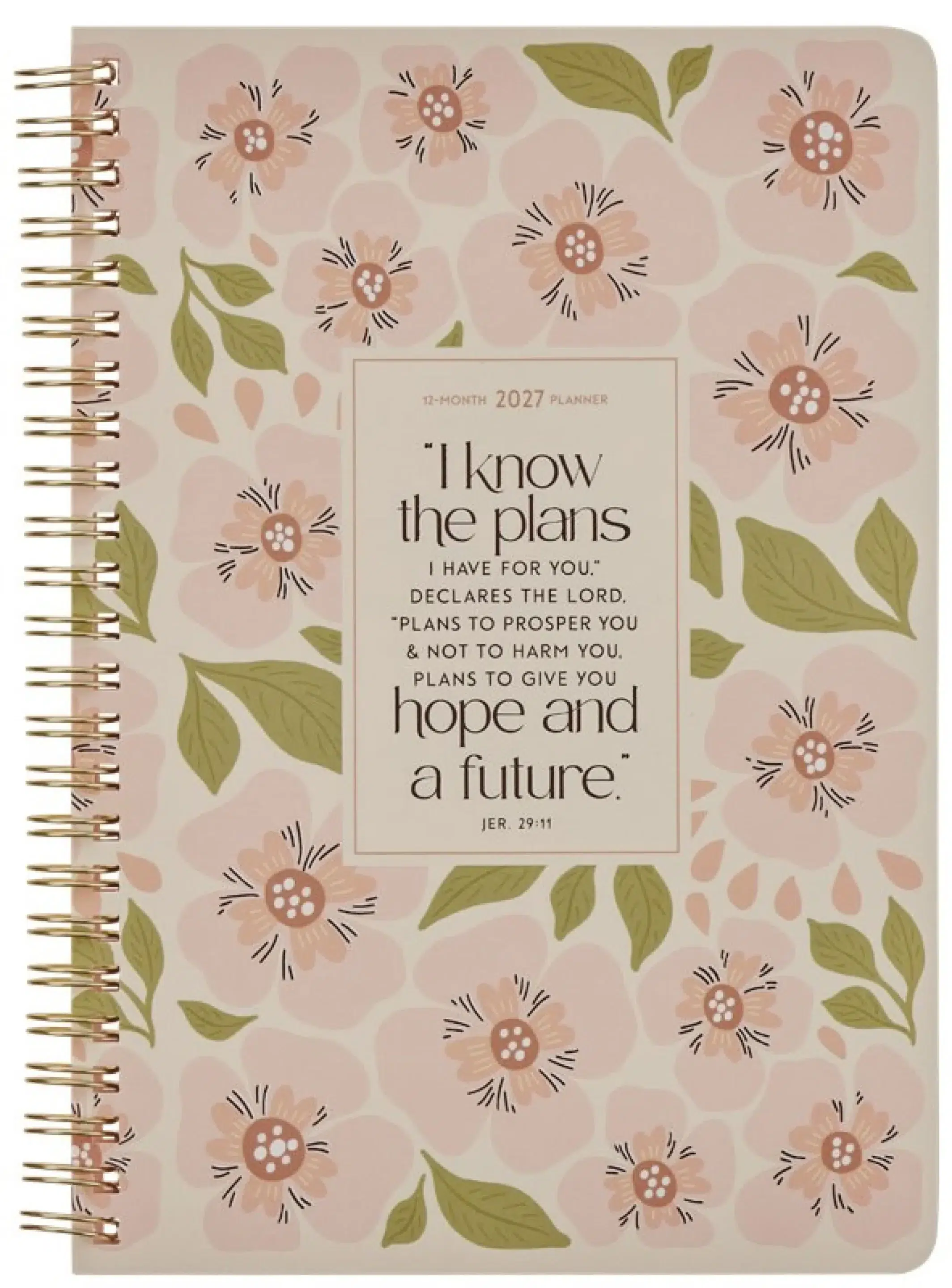 2027 Daily Planner-I Know the Plans