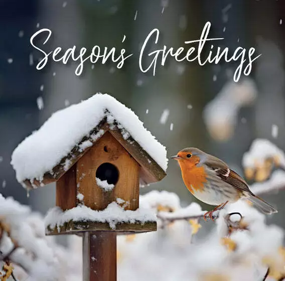 Christmas Box: Robin/Birdbox (16) - Image 2