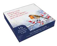 Christmas Box: Winter Birds (16)