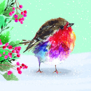 TLM - Winter Robin Christmas Cards (Pack of 10)