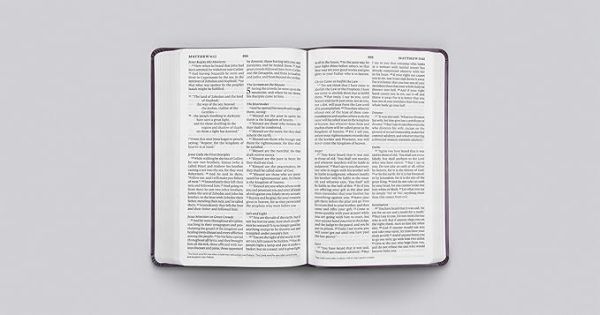 ESV Large Print Value Thinline Bible, Lavender - Image 2