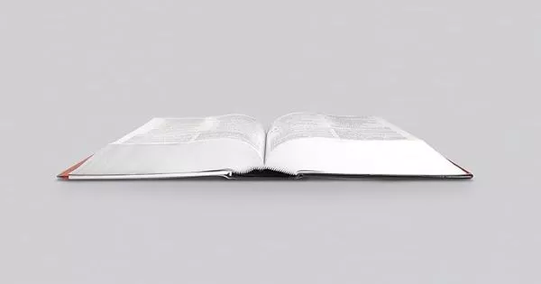 ESV Study Bible H/B, Large Print, Indexed - Image 2
