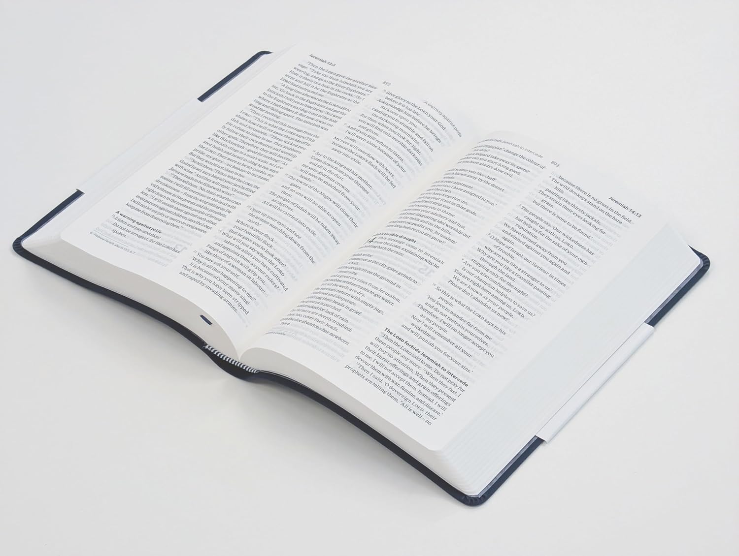 NLT Holy Bible, Blue Soft Tone - Image 2