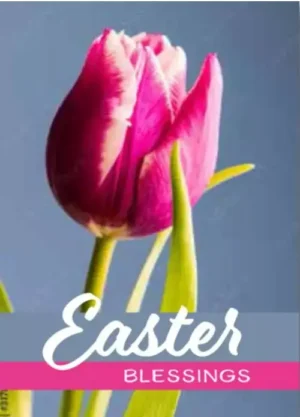 Easter Mini Cards - Easter Bessings, Tulip (Pack of 4)