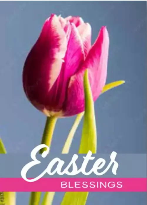 Easter Mini Cards - Easter Bessings, Tulip (Pack of 4)