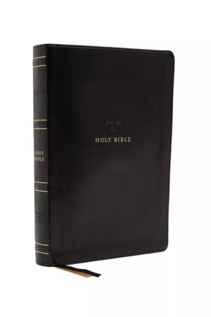 NRSV Large Print