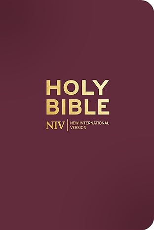 NIV Pocket Mulberry Soft-tone Bible with Zip